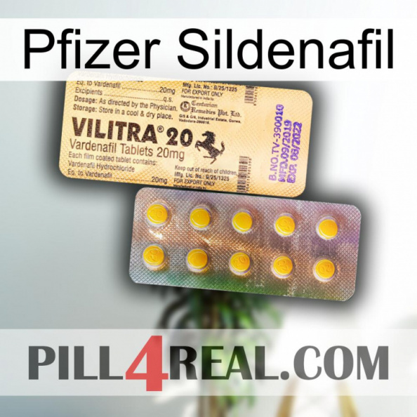 Pfizer Sildenafil new06.jpg